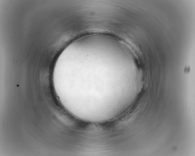 X0000090490207200708102226