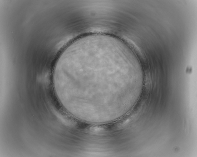 X0000090490208200708102226