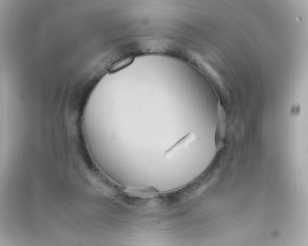 X0000090490209200708102226