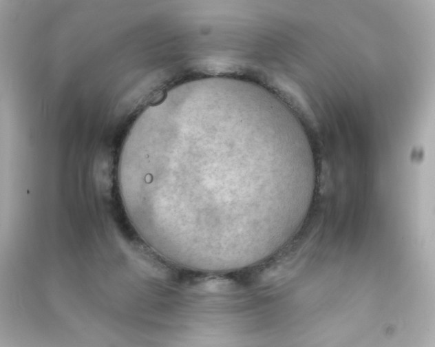 X0000090490210200708102226