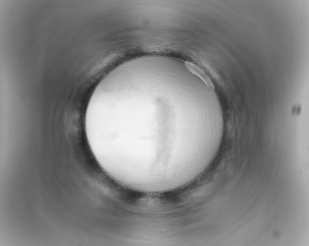 X0000090490211200708102226