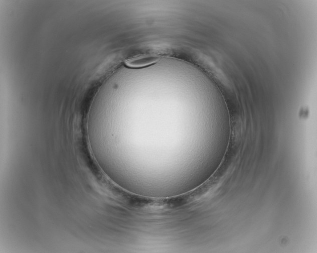 X0000090490213200708102226