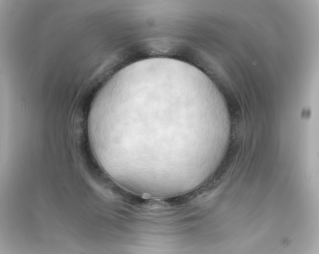 X0000090490215200708102226