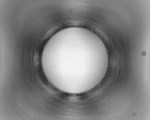 X0000090490216200708102226