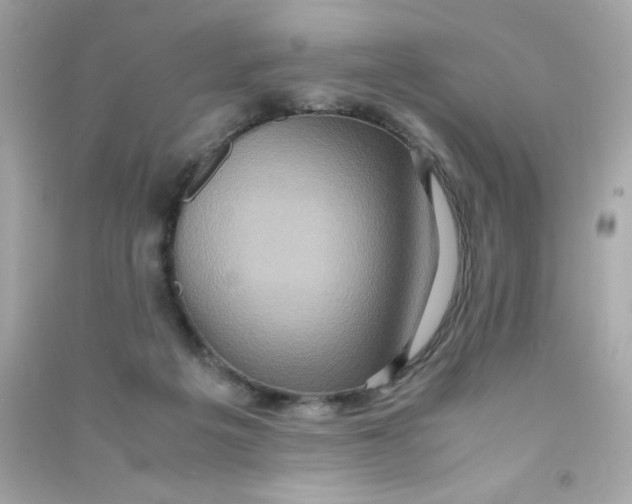 X0000090490217200708102226