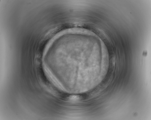 X0000090490218200708102226