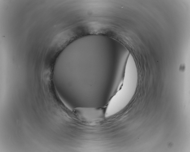 X0000090490219200708102226