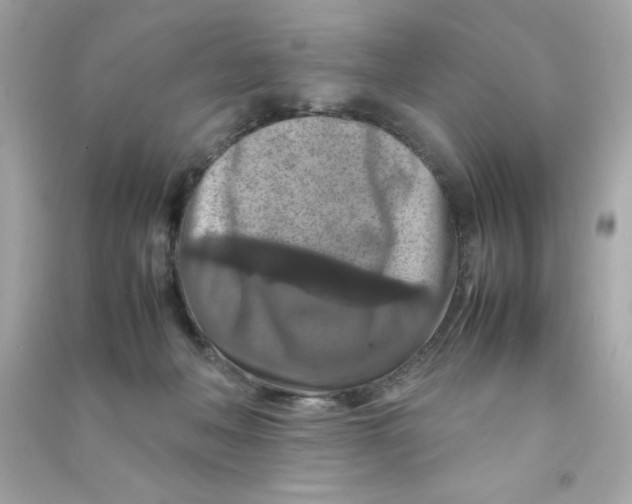 X0000090490222200708102225