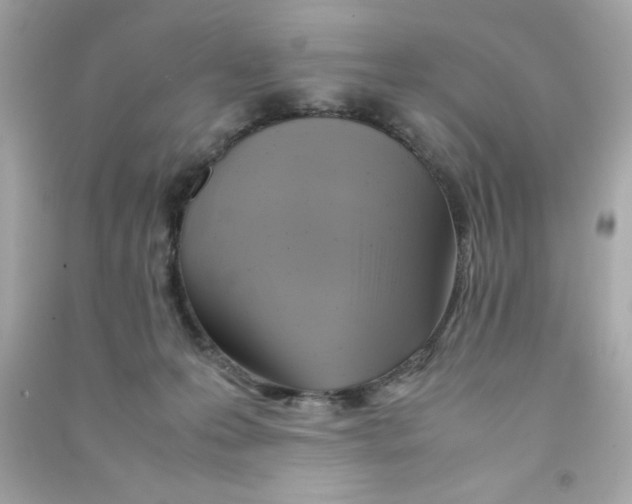 X0000090490223200708102225