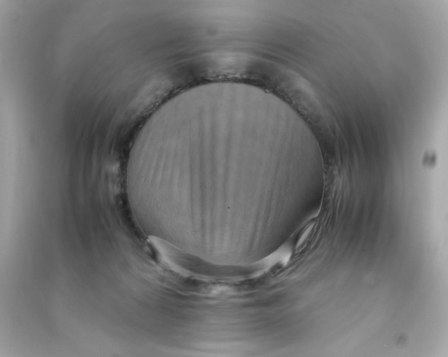 X0000090490224200708102225