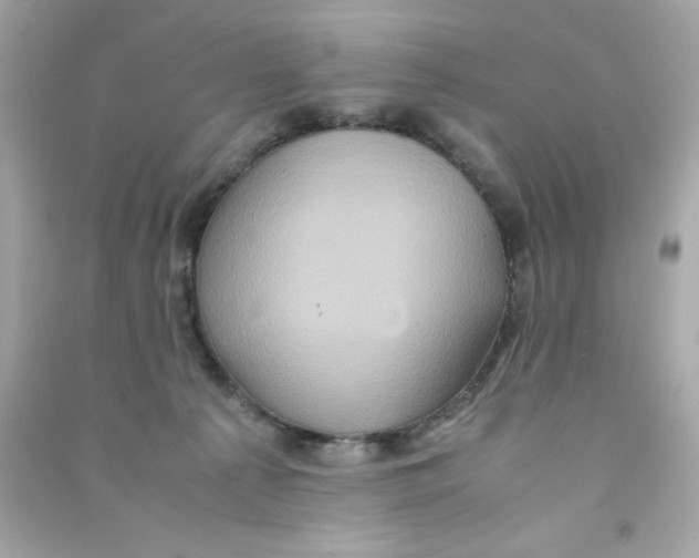 X0000090490225200708102225