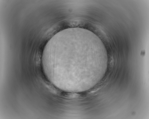 X0000090490226200708102225