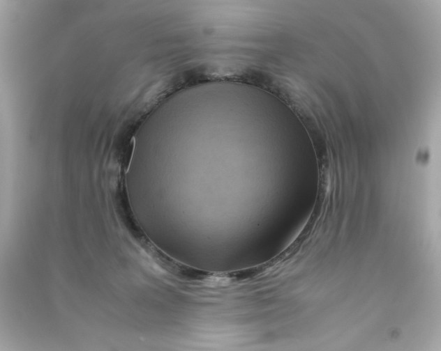 X0000090490227200708102225