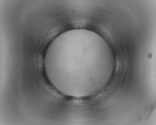 X0000090490228200708102225