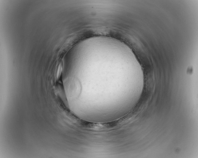 X0000090490229200708102225