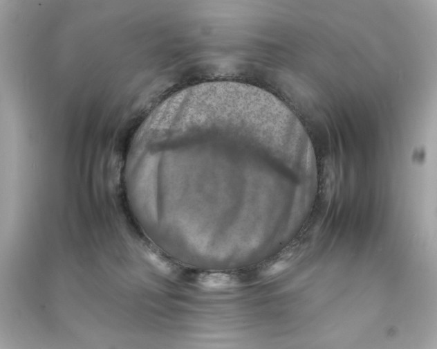 X0000090490230200708102225