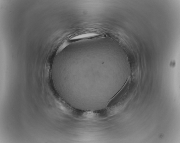 X0000090490231200708102225