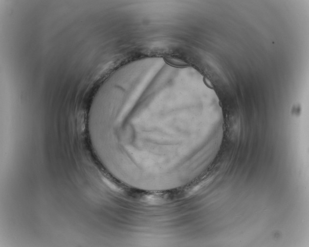 X0000090490232200708102225