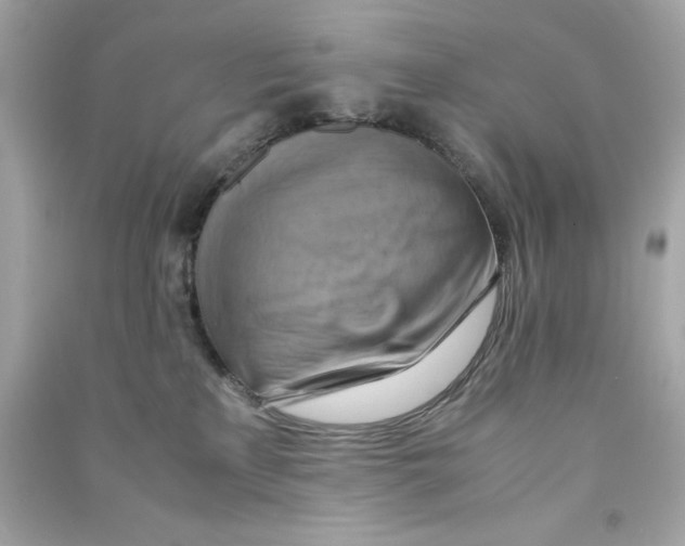 X0000090490233200708102225