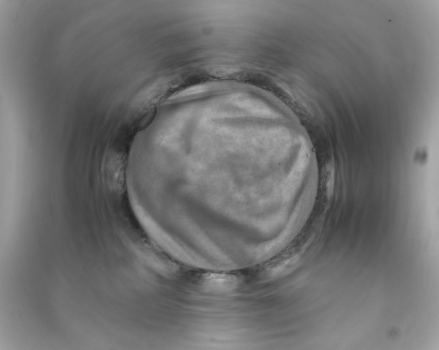 X0000090490234200708102225