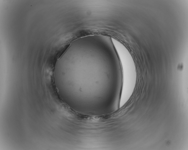 X0000090490235200708102225