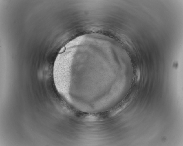 X0000090490236200708102225