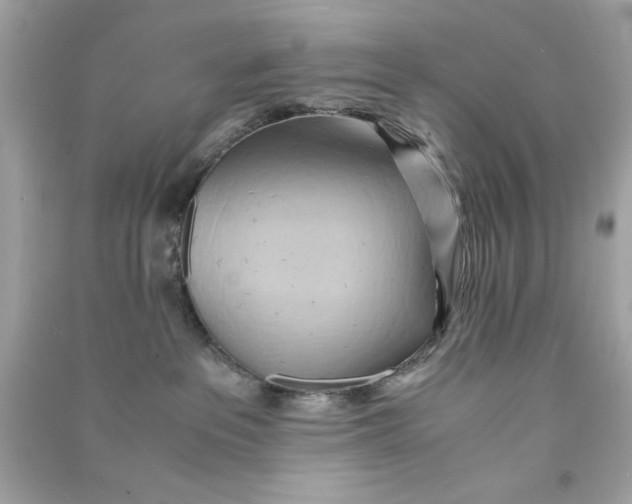 X0000090490237200708102225