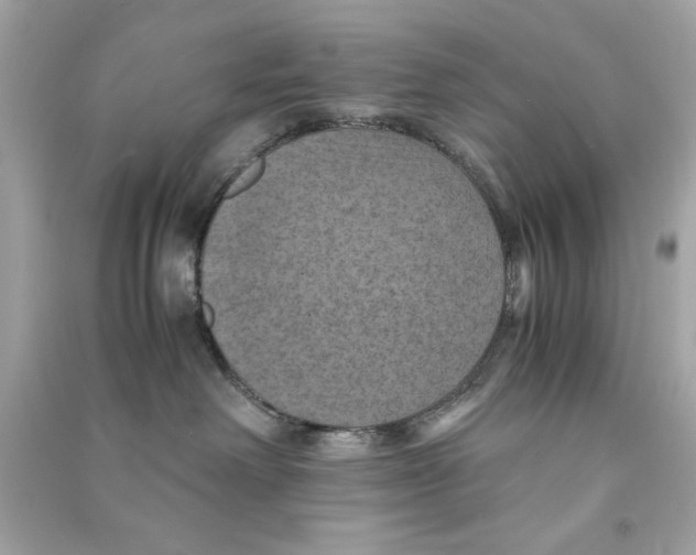 X0000090490238200708102225