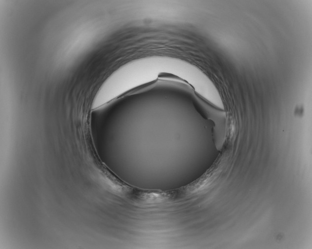 X0000090490239200708102225