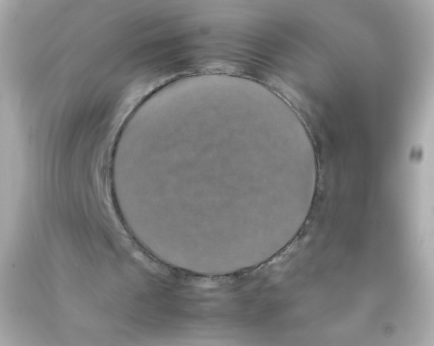 X0000090490241200708102225