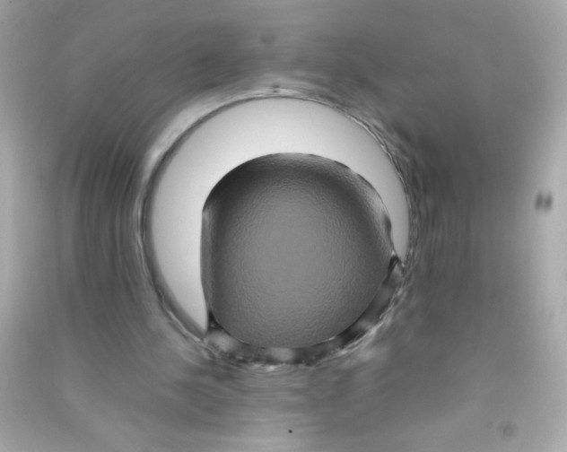 X0000090490244200708102225