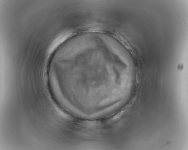 X0000090490245200708102225