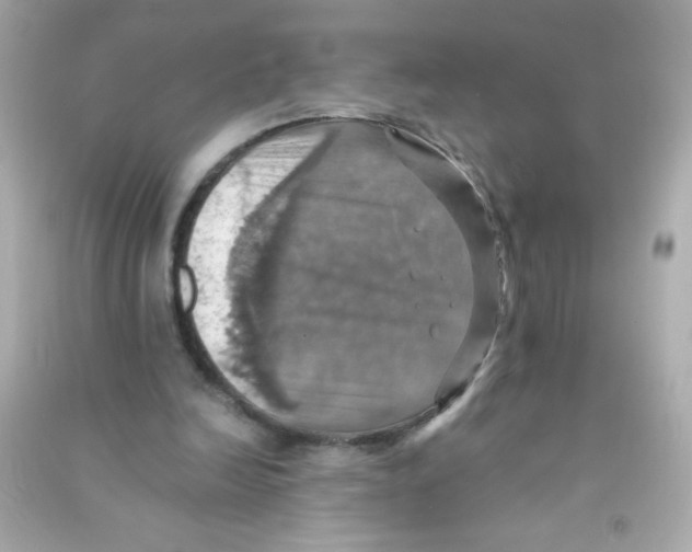 X0000090490246200708102225