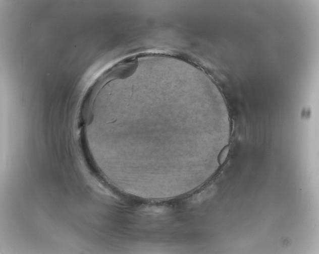 X0000090490247200708102225