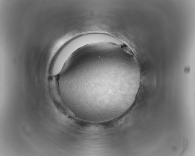 X0000090490248200708102225