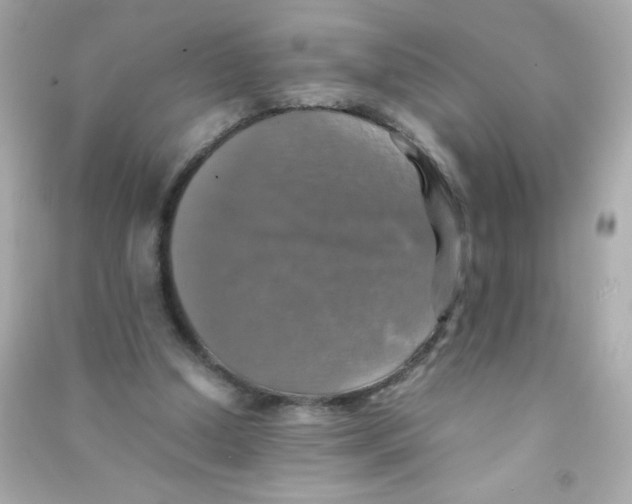 X0000090490250200708102225