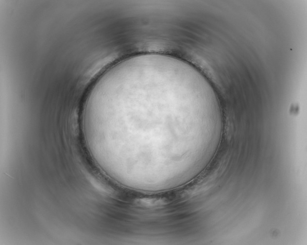 X0000090490251200708102225