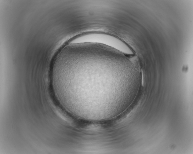 X0000090490252200708102225