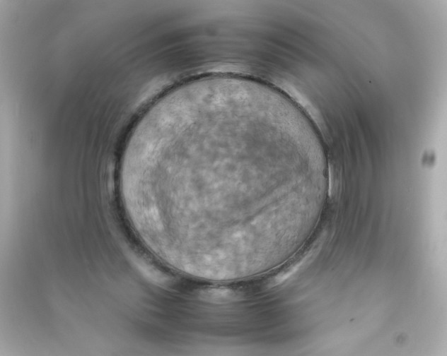 X0000090490253200708102225