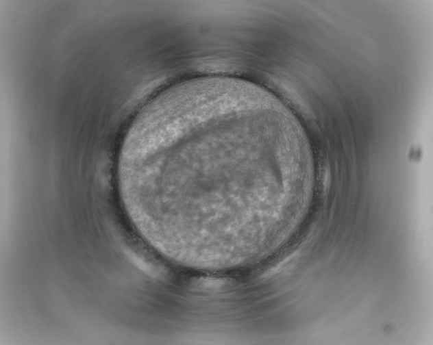 X0000090490255200708102225