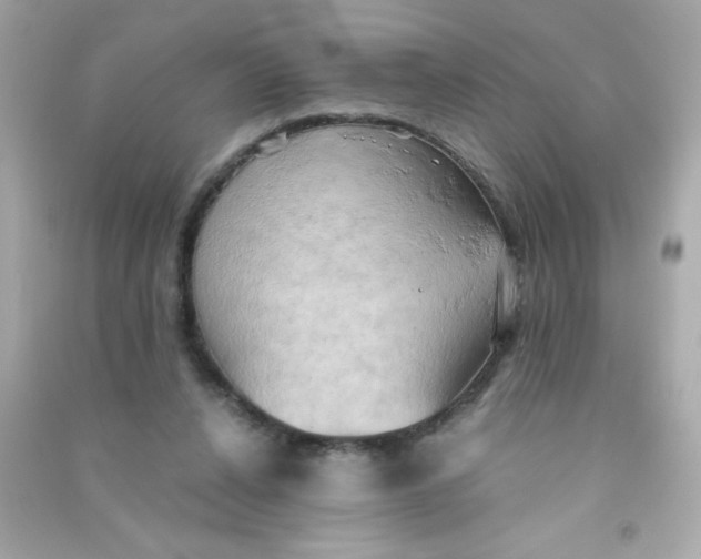 X0000090490256200708102225