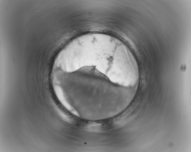 X0000090490257200708102225