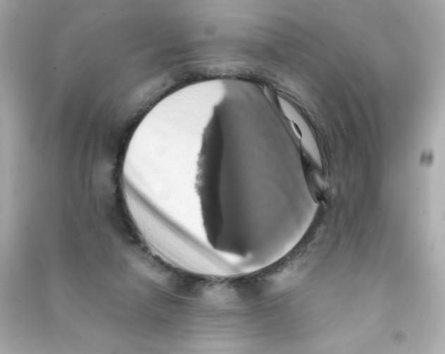 X0000090490258200708102225