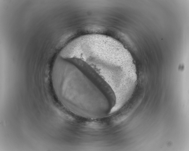 X0000090490259200708102225