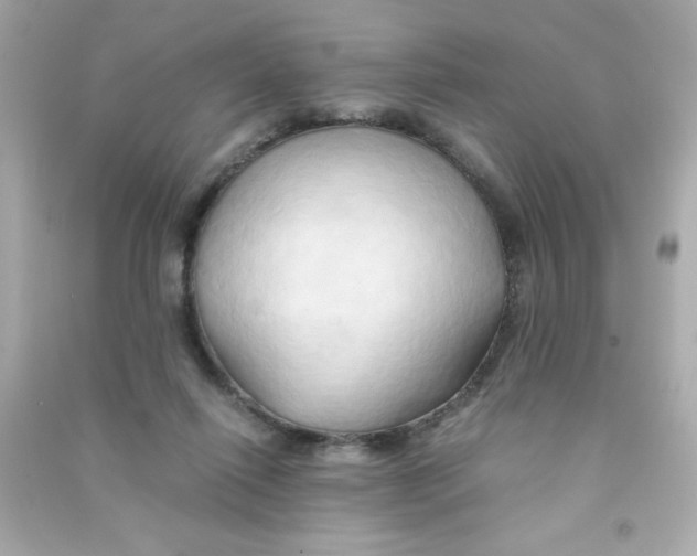 X0000090490262200708102225