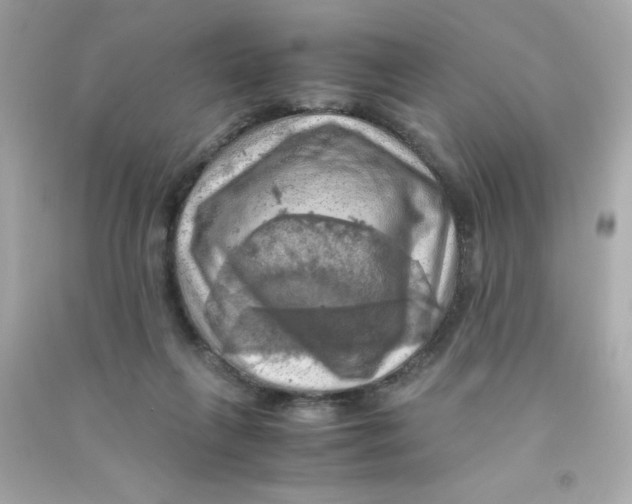 X0000090490263200708102225