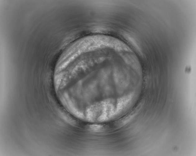 X0000090490265200708102225