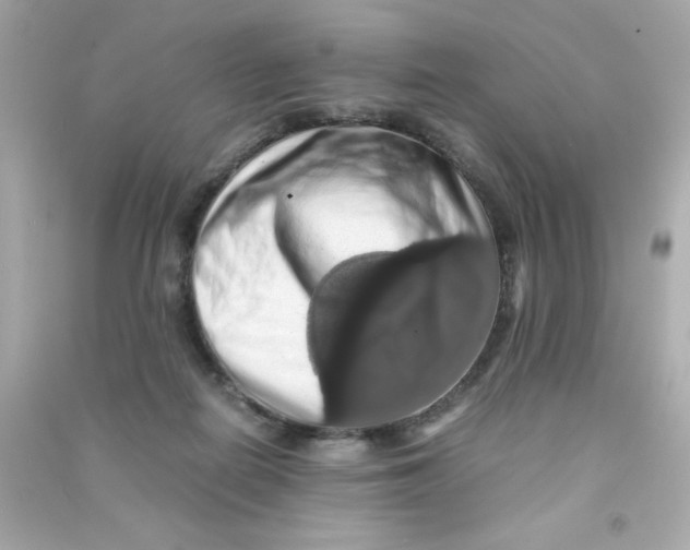 X0000090490266200708102225