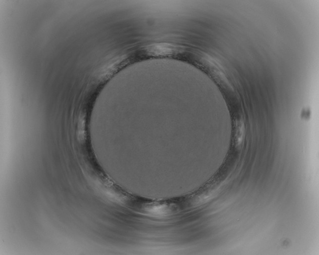 X0000090490267200708102225