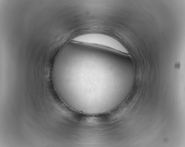 X0000090490268200708102225